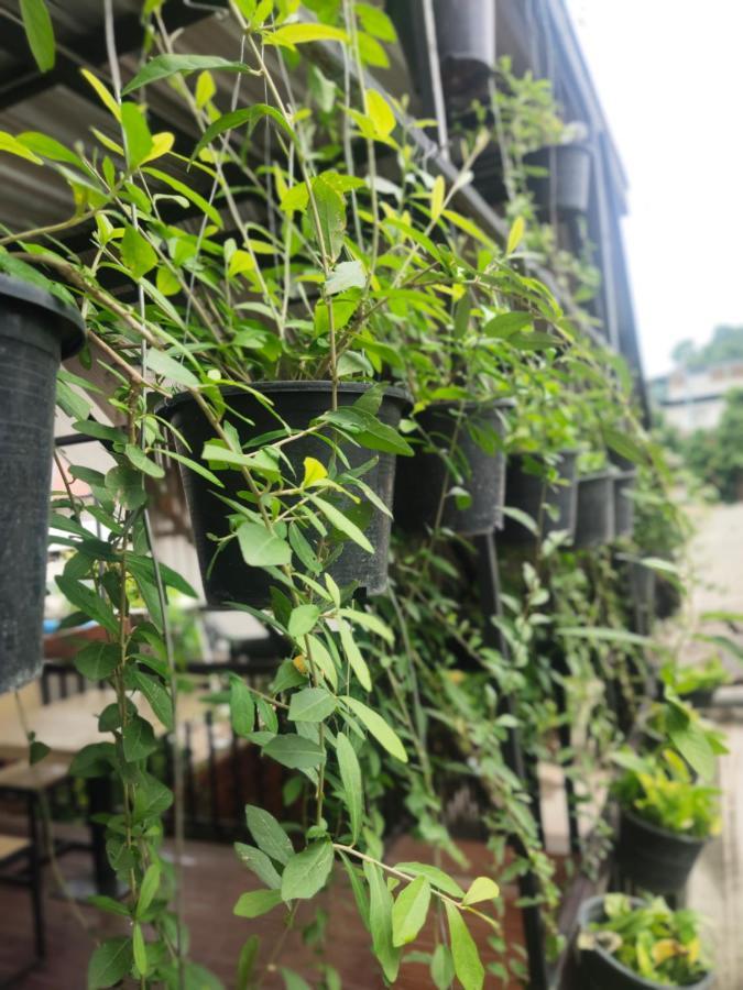 清邁 奈维昂旅舍旅舍 外观 照片